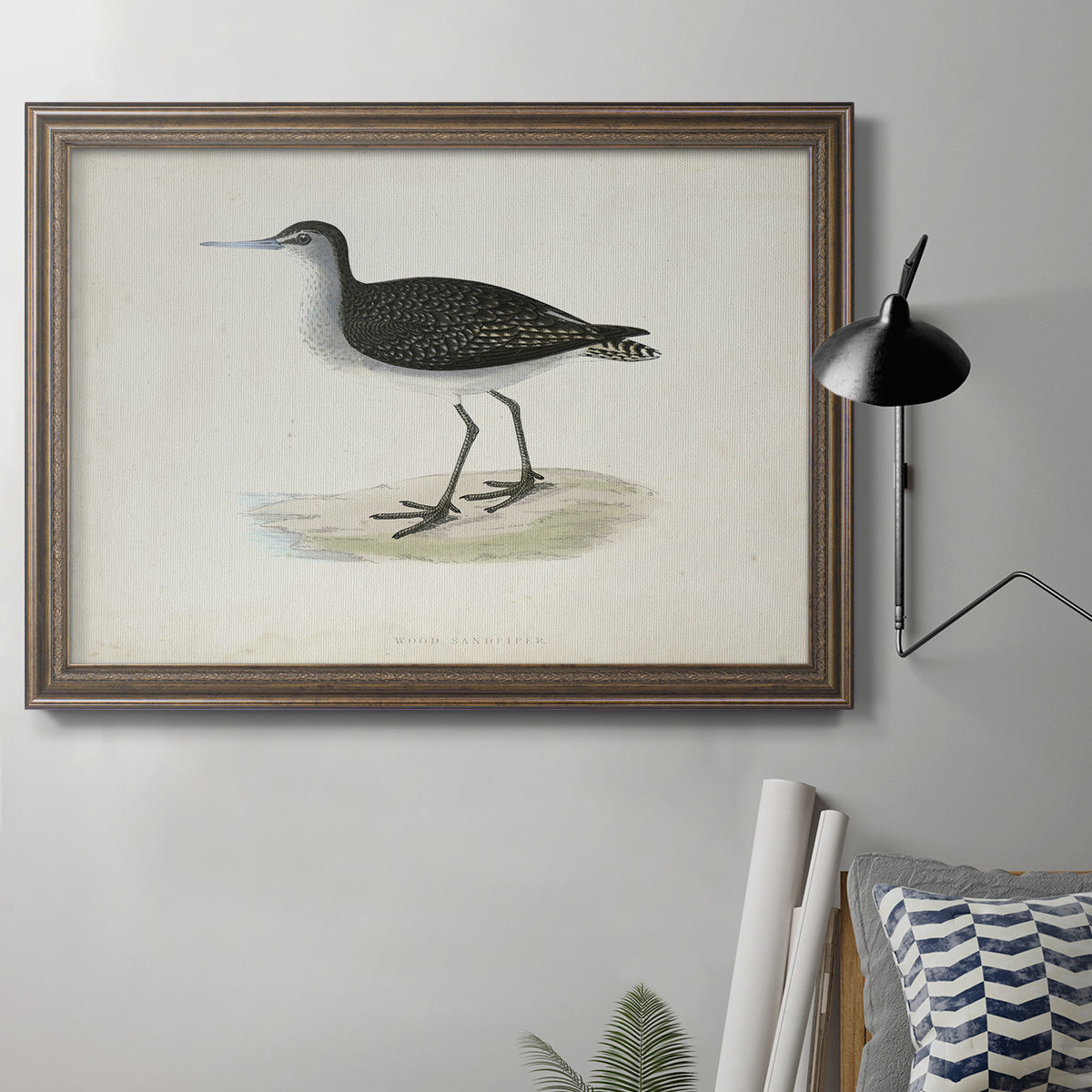 Morris Sandpipers VIII Premium Framed Canvas- Ready to Hang