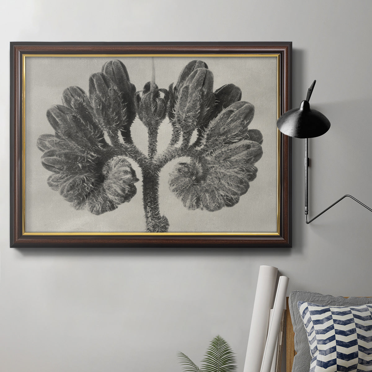 Blossfeldt Botanical VIII Premium Framed Canvas- Ready to Hang