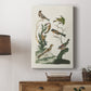 Antique Birds in Nature I - Canvas Art Print