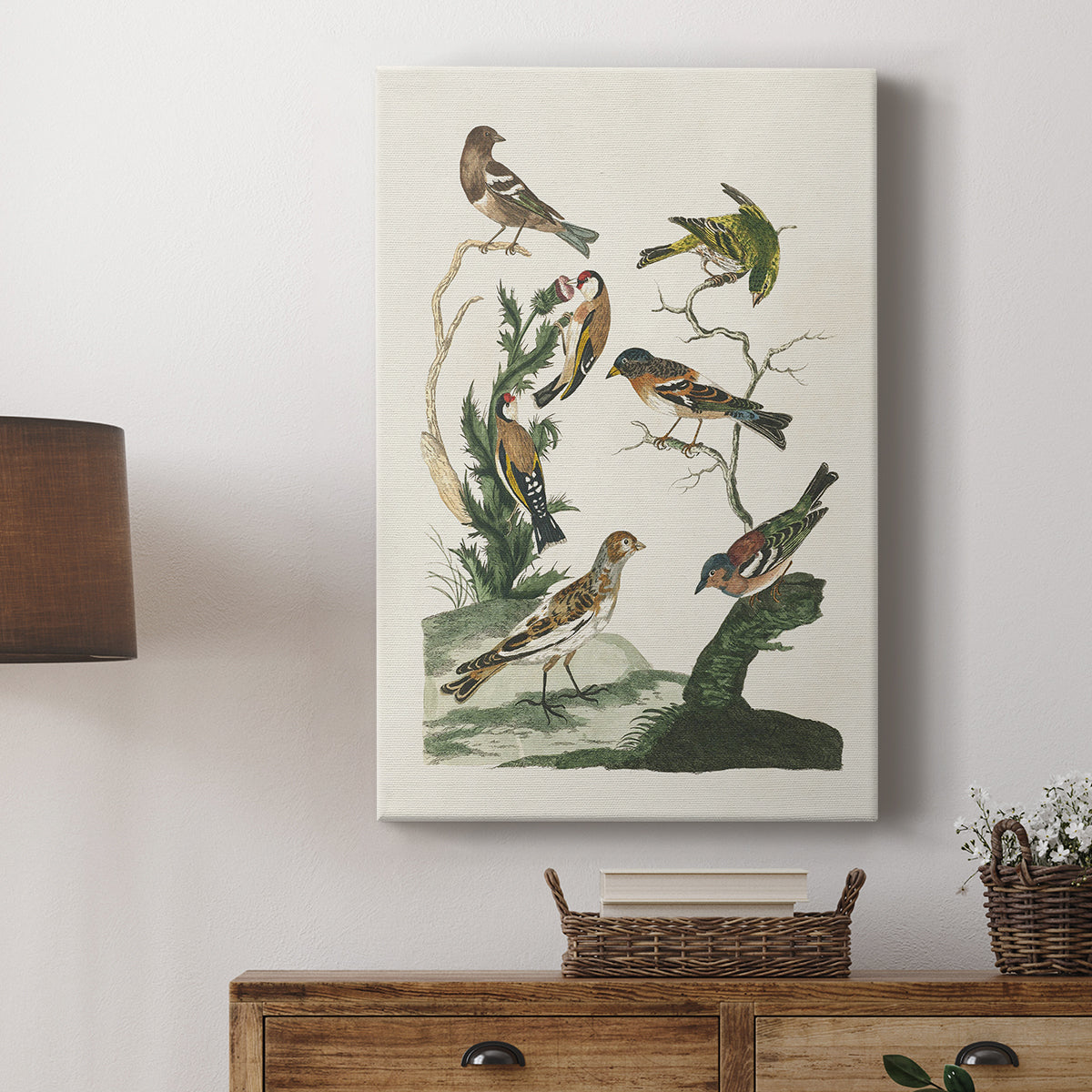 Antique Birds in Nature I - Canvas Art Print