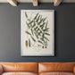 Botanical Society Ferns X - Modern Framed Canvas Print