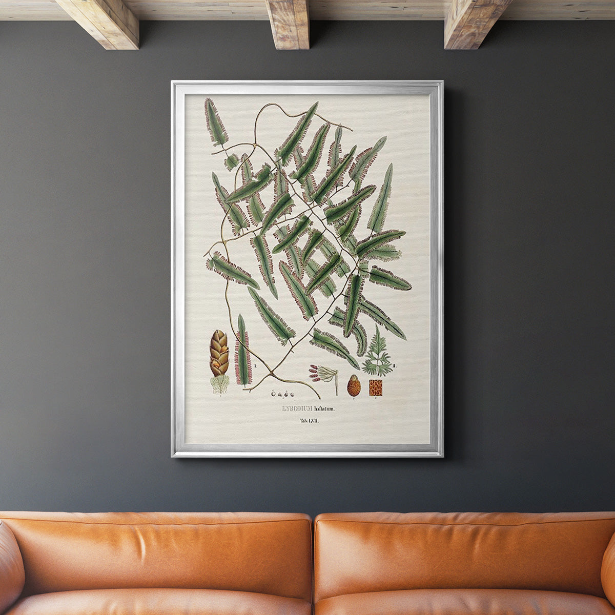 Botanical Society Ferns X - Modern Framed Canvas Print