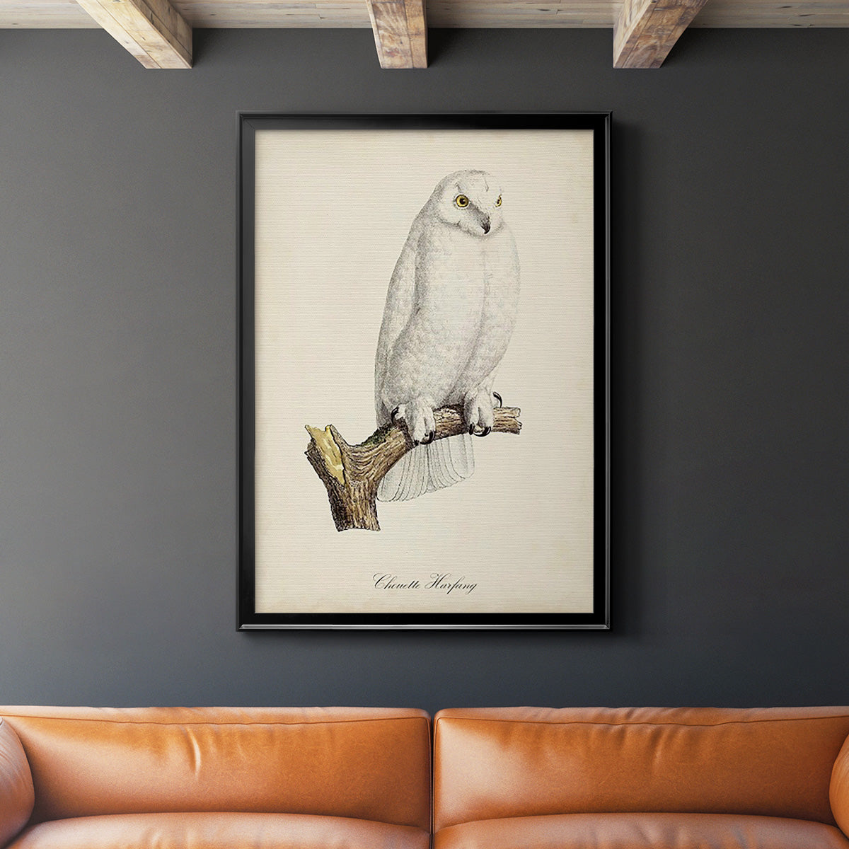 French Owls IV - Modern Framed Canvas Print