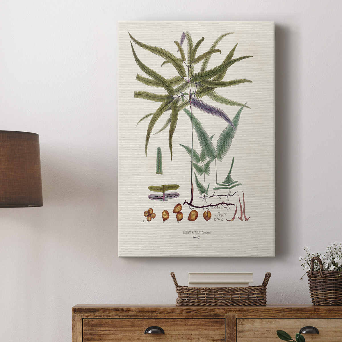 Botanical Society Ferns VIII - Canvas Art Print