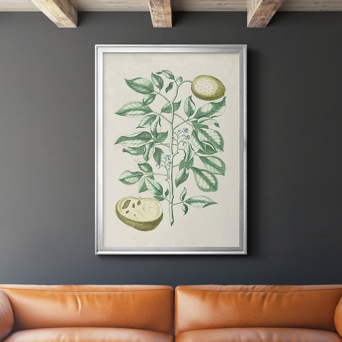 Buchoz Tropicals III - Modern Framed Canvas Print