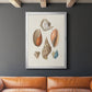 Knorr Shells & Coral I - Modern Framed Canvas Print