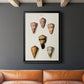 Cone Shell Collection IV - Modern Framed Canvas Print