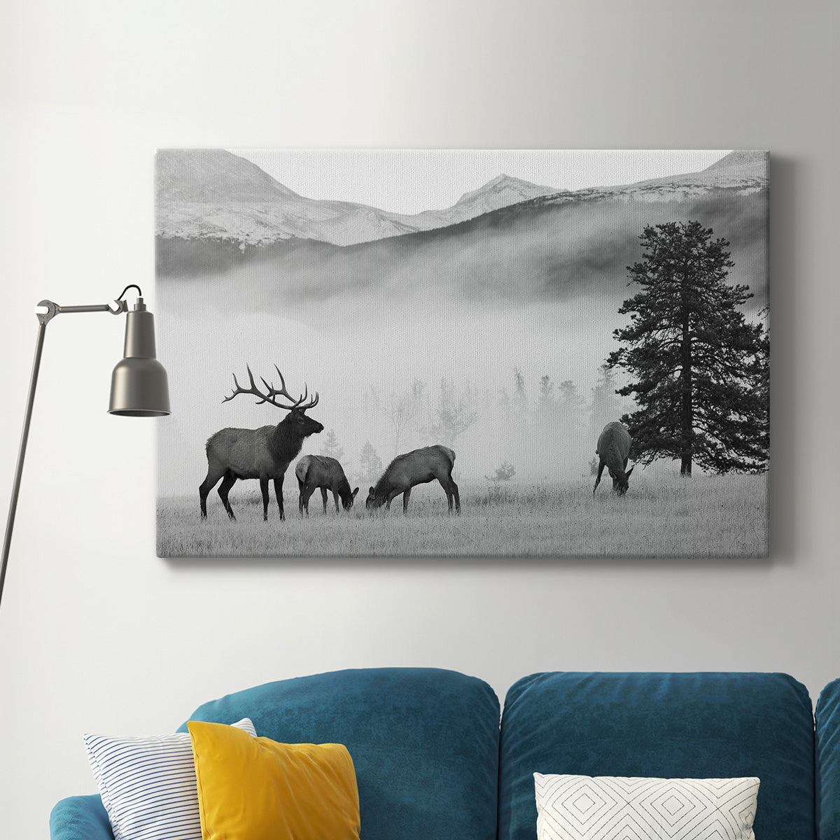 Mountain Elk - Canvas Art Print