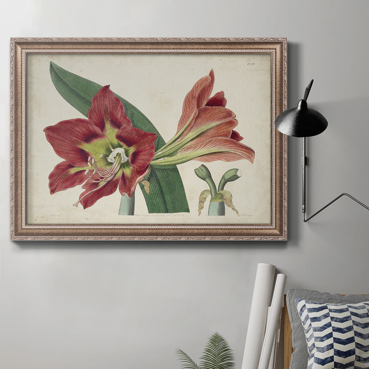 Amaryllis Splendor I Premium Framed Canvas- Ready to Hang