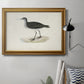 Morris Sandpipers VIII Premium Framed Canvas- Ready to Hang