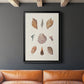 Knorr Shells & Coral VI - Modern Framed Canvas Print