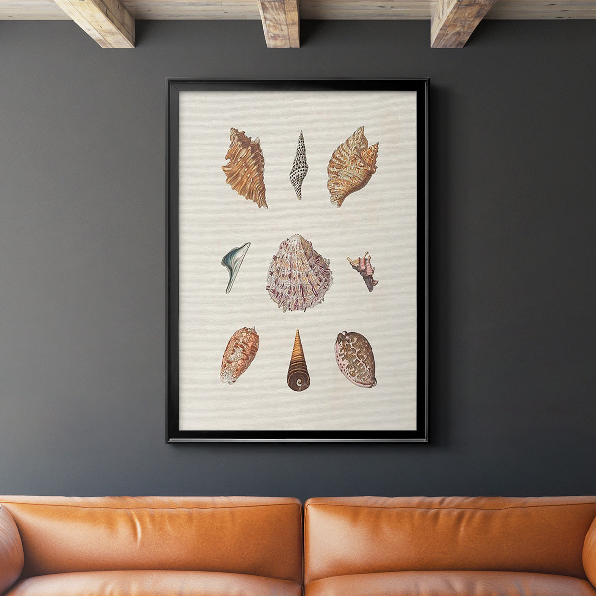 Knorr Shells & Coral VI - Modern Framed Canvas Print
