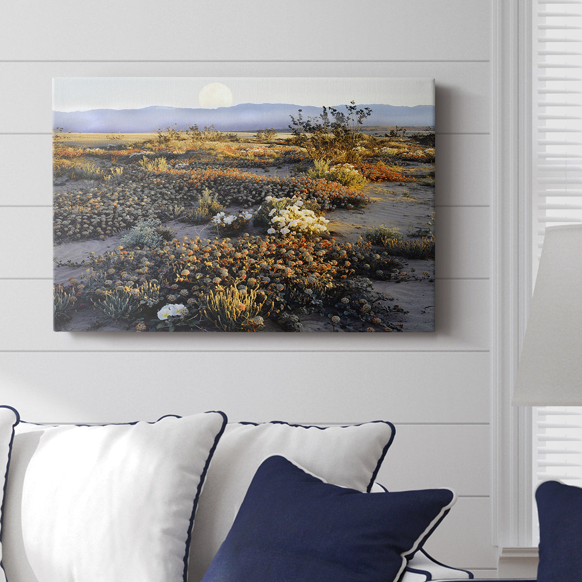 Anza Borrego Desert - Canvas Art Print
