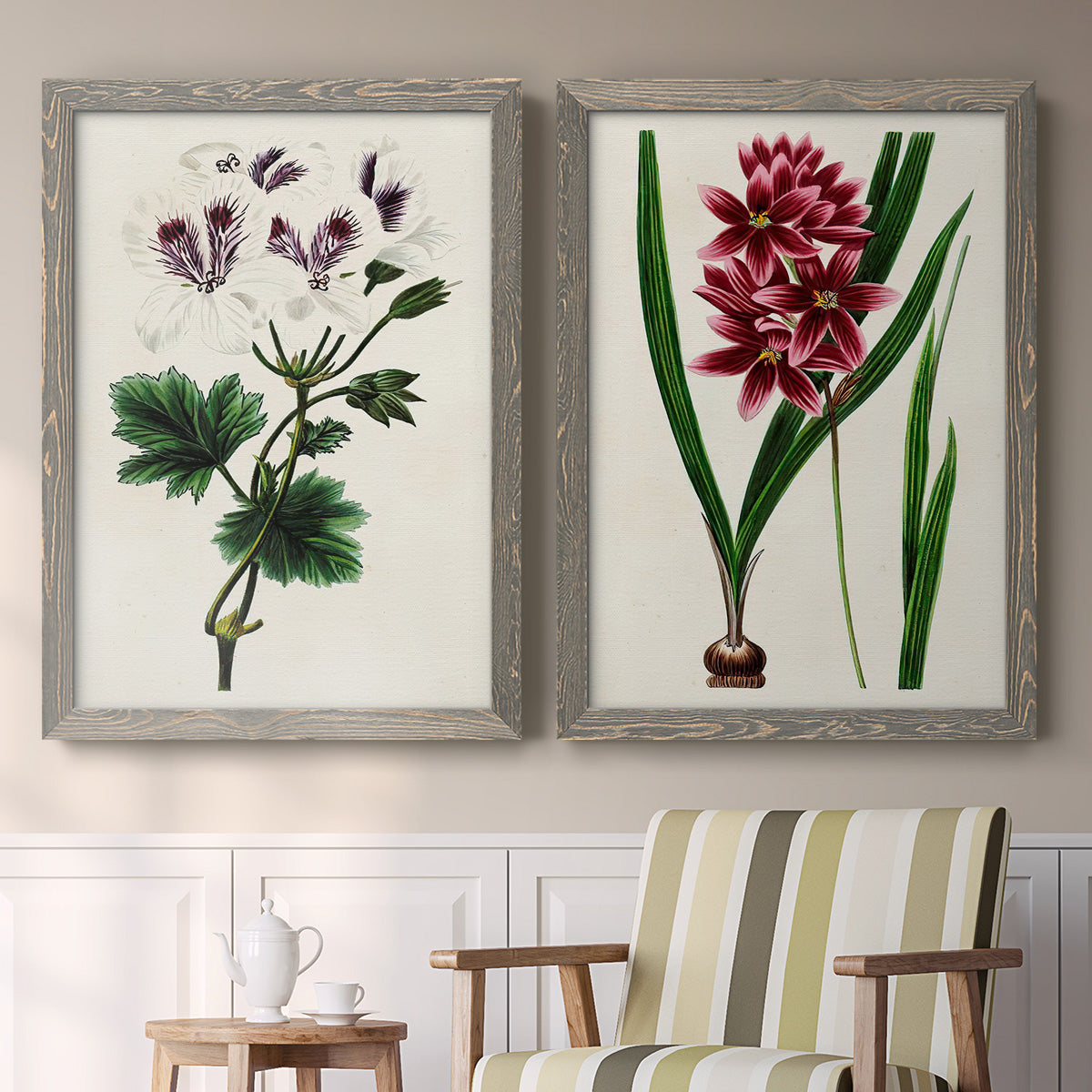 Set of two gray barnwood framed canvas prints depicting two antique botanical plate illustrations featuring colorful flowering plant specimens above a sideboard in a cozy sitting room.