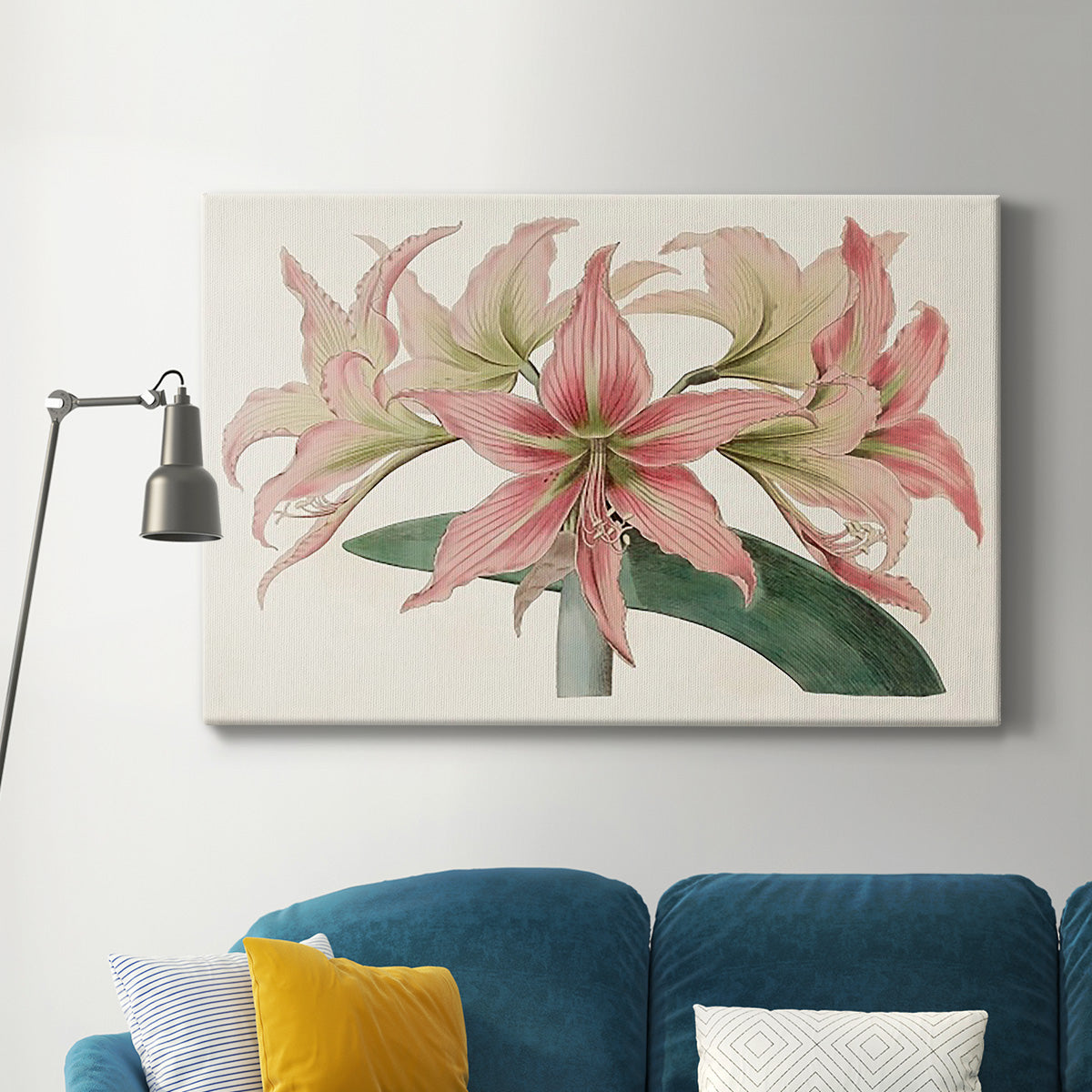 Amaryllis Varietals I Premium Gallery Wrapped Canvas - Ready to Hang