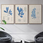 Blue Marine Algae VI - Framed Premium Gallery Wrapped Canvas L Frame 3 Piece Set - Ready to Hang