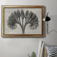 Vintage botanical plant study photograph by Karl Blossfeldt in an ornate vintage gold frame displayed in a neutral interior setting.
