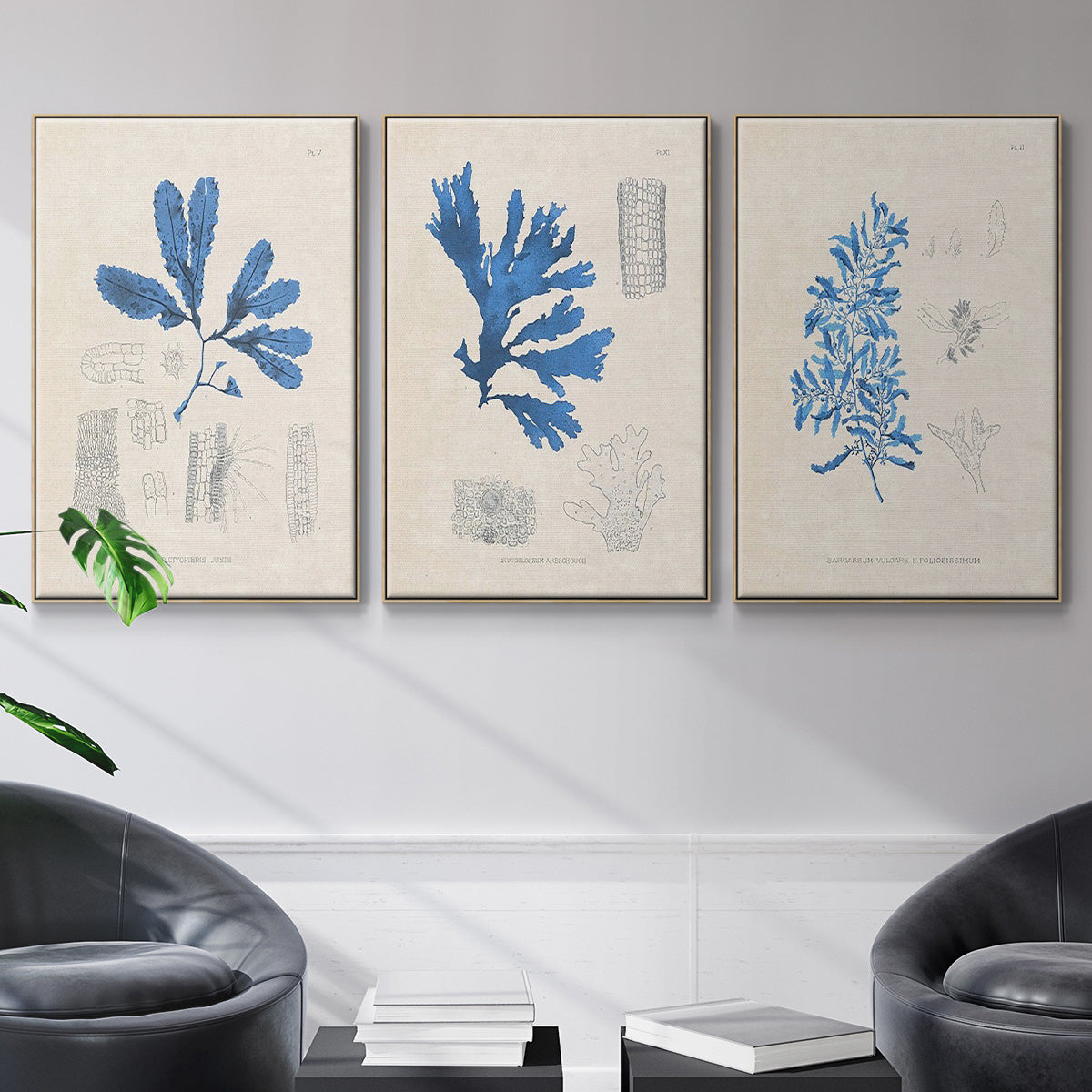 Blue Marine Algae VI - Framed Premium Gallery Wrapped Canvas L Frame 3 Piece Set - Ready to Hang