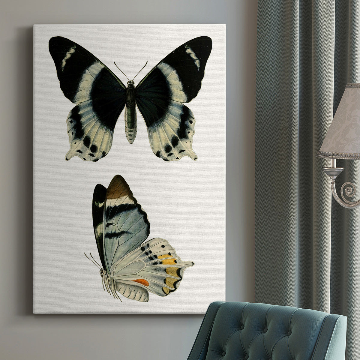 Antique Blue Butterflies I Premium Gallery Wrapped Canvas - Ready to Hang