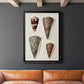 Cone Shell Collection I - Modern Framed Canvas Print
