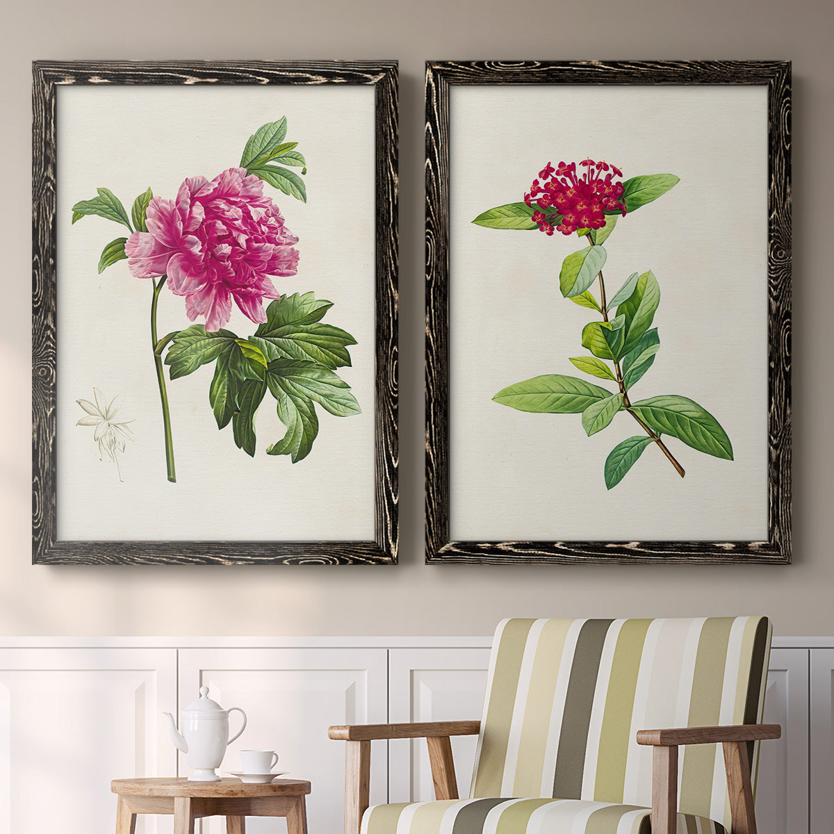 Set of two black barnwood framed canvas prints depicting two vintage botanical plate illustrations featuring pink flowering plant specimens above a sideboard in a cozy sitting room.