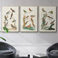 Antique Birds in Nature I - Framed Premium Gallery Wrapped Canvas L Frame 3 Piece Set - Ready to Hang