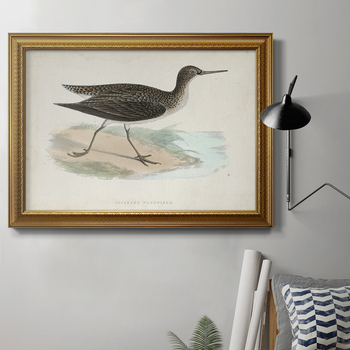 Morris Sandpipers VII Premium Framed Canvas- Ready to Hang