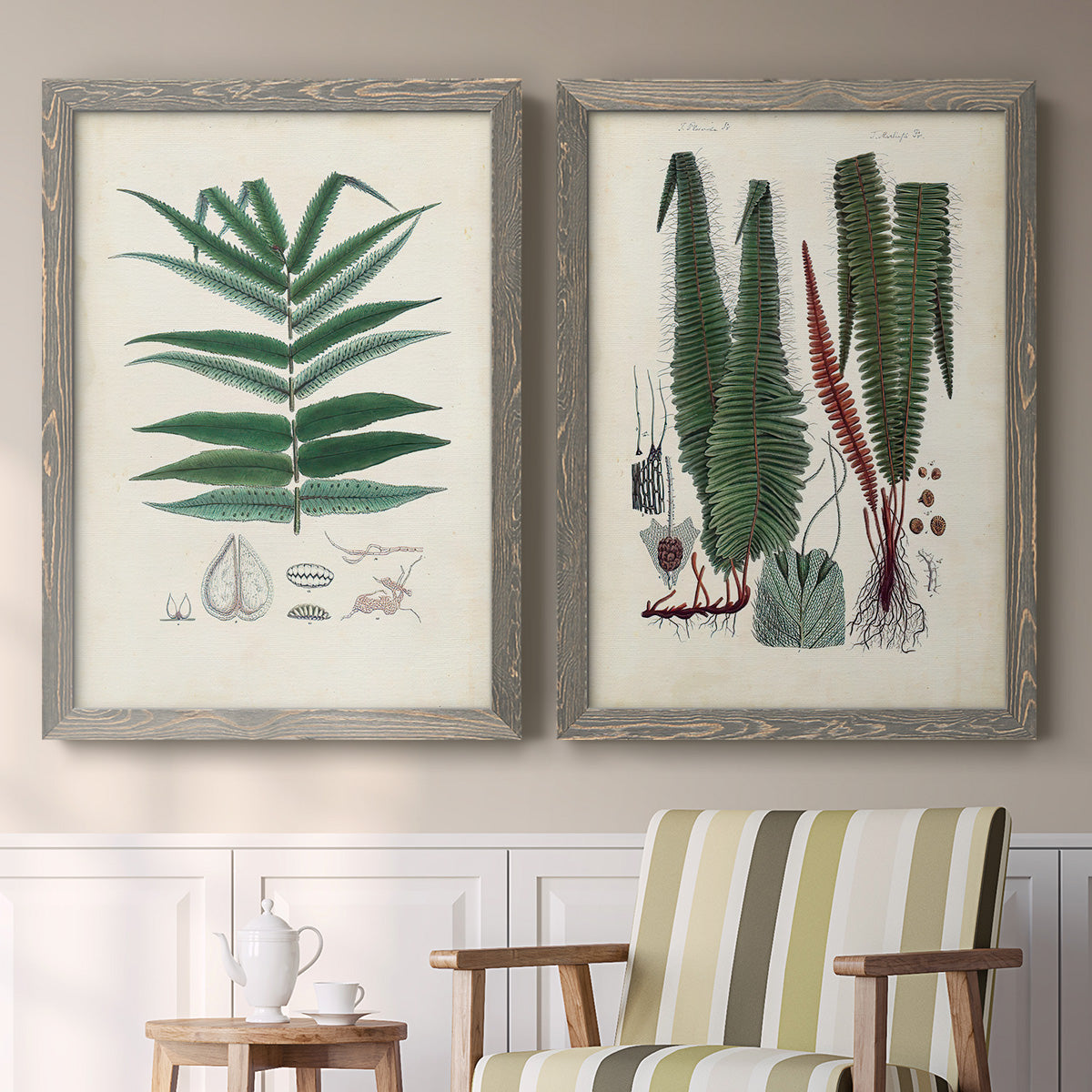 Set of two gray barnwood framed canvas prints depicting two natural-history fern plates featuring vintage fern specimens with botanical details above a sideboard in a cozy sitting room.