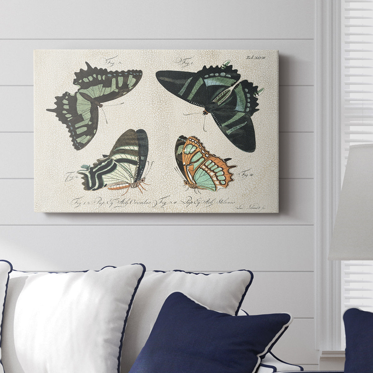 Crackled Butterflies III - Canvas Art Print