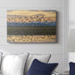 Sunset Flight - Canvas Art Print