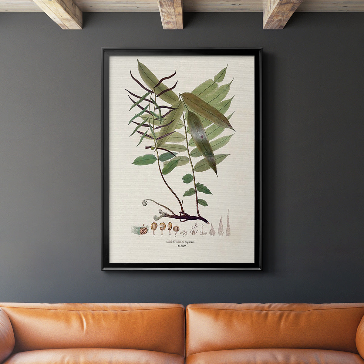 Botanical Society Ferns VI - Modern Framed Canvas Print