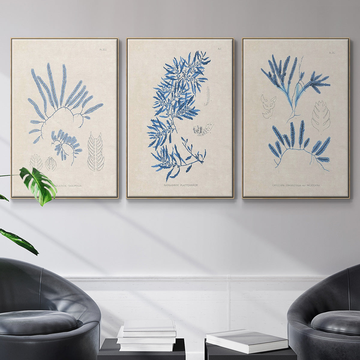 Blue Marine Algae I - Framed Premium Gallery Wrapped Canvas L Frame 3 Piece Set - Ready to Hang