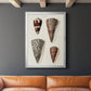 Cone Shell Collection I - Modern Framed Canvas Print