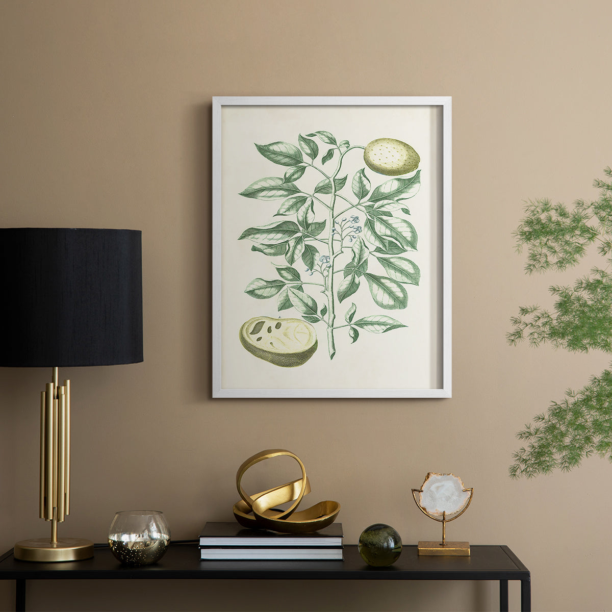 Buchoz Tropicals III - Restickable Framed Art Print