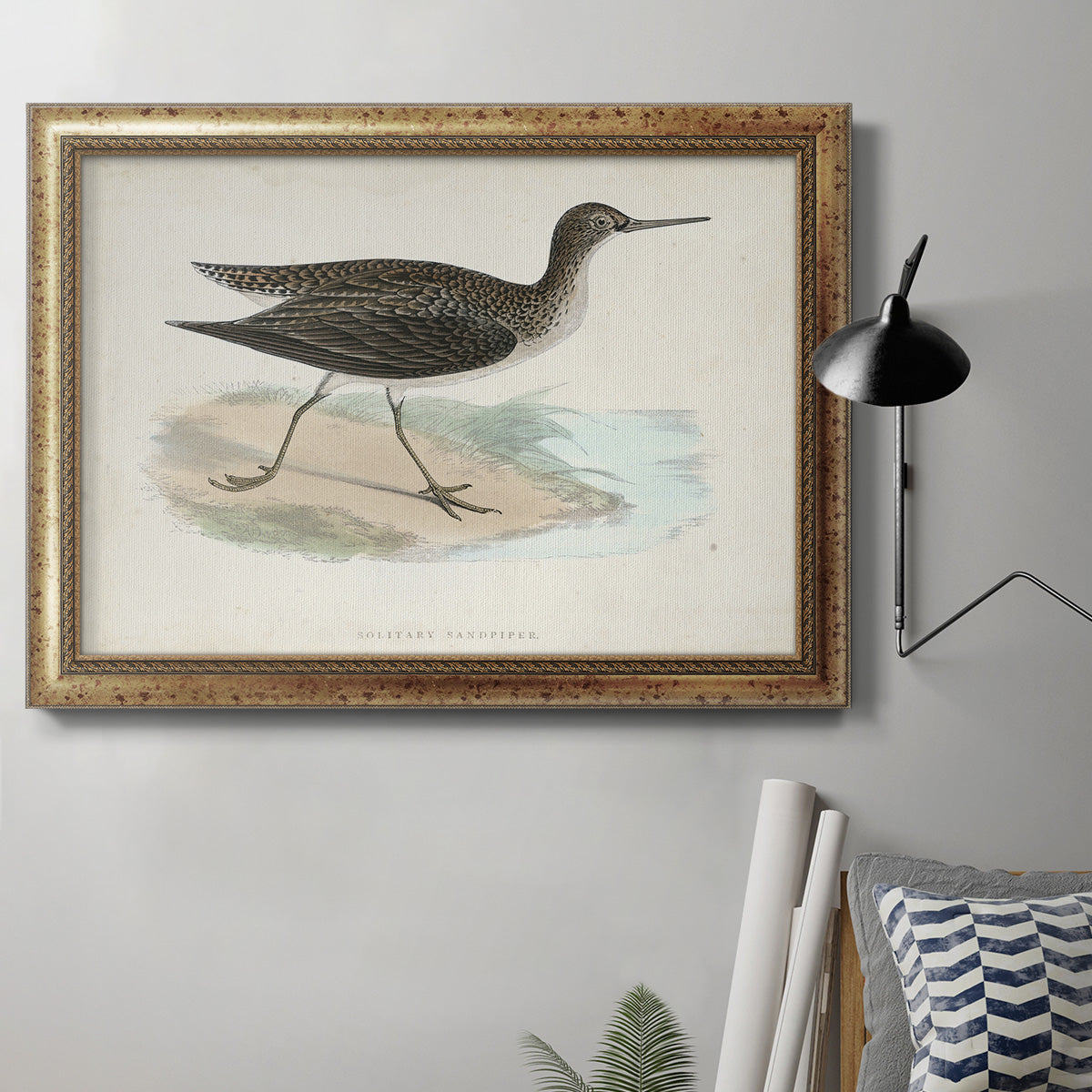 Morris Sandpipers VII Premium Framed Canvas- Ready to Hang