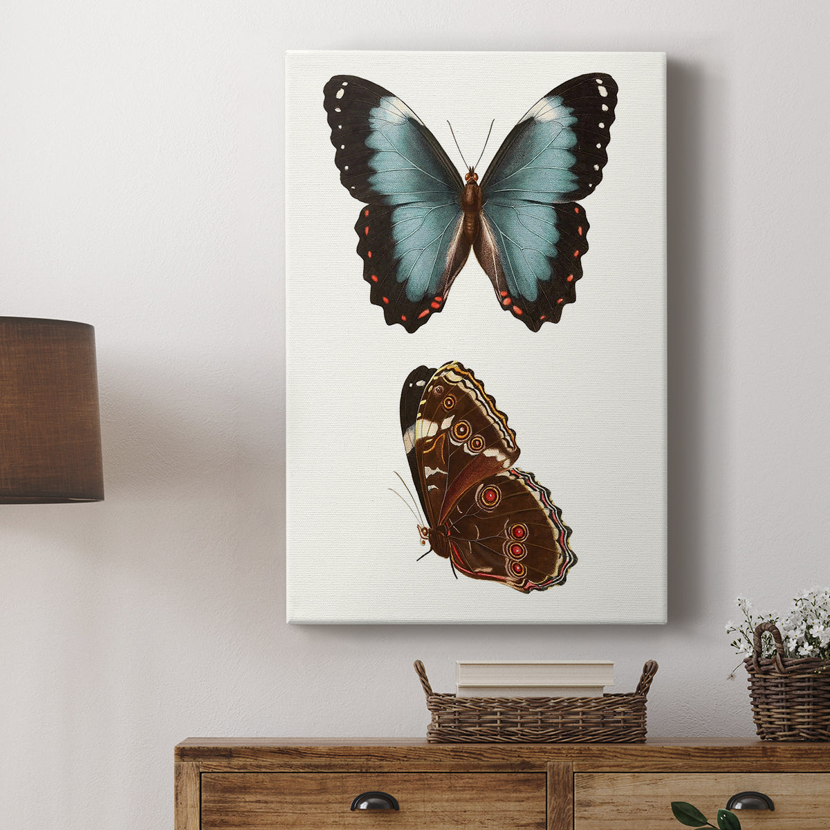 Antique Blue Butterflies IV - Canvas Art Print