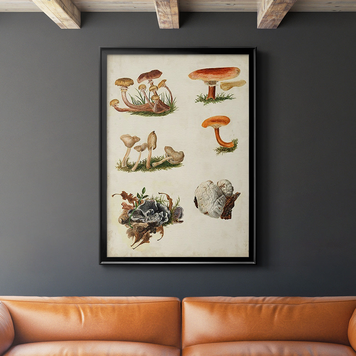 Mushroom Species X - Modern Framed Canvas Print