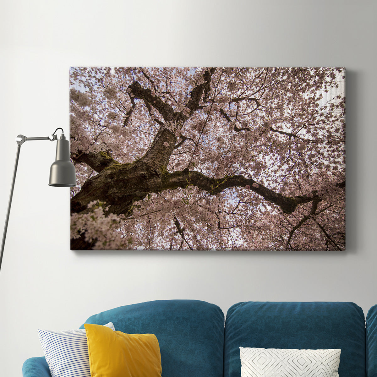 Spring's Arrival - Canvas Art Print