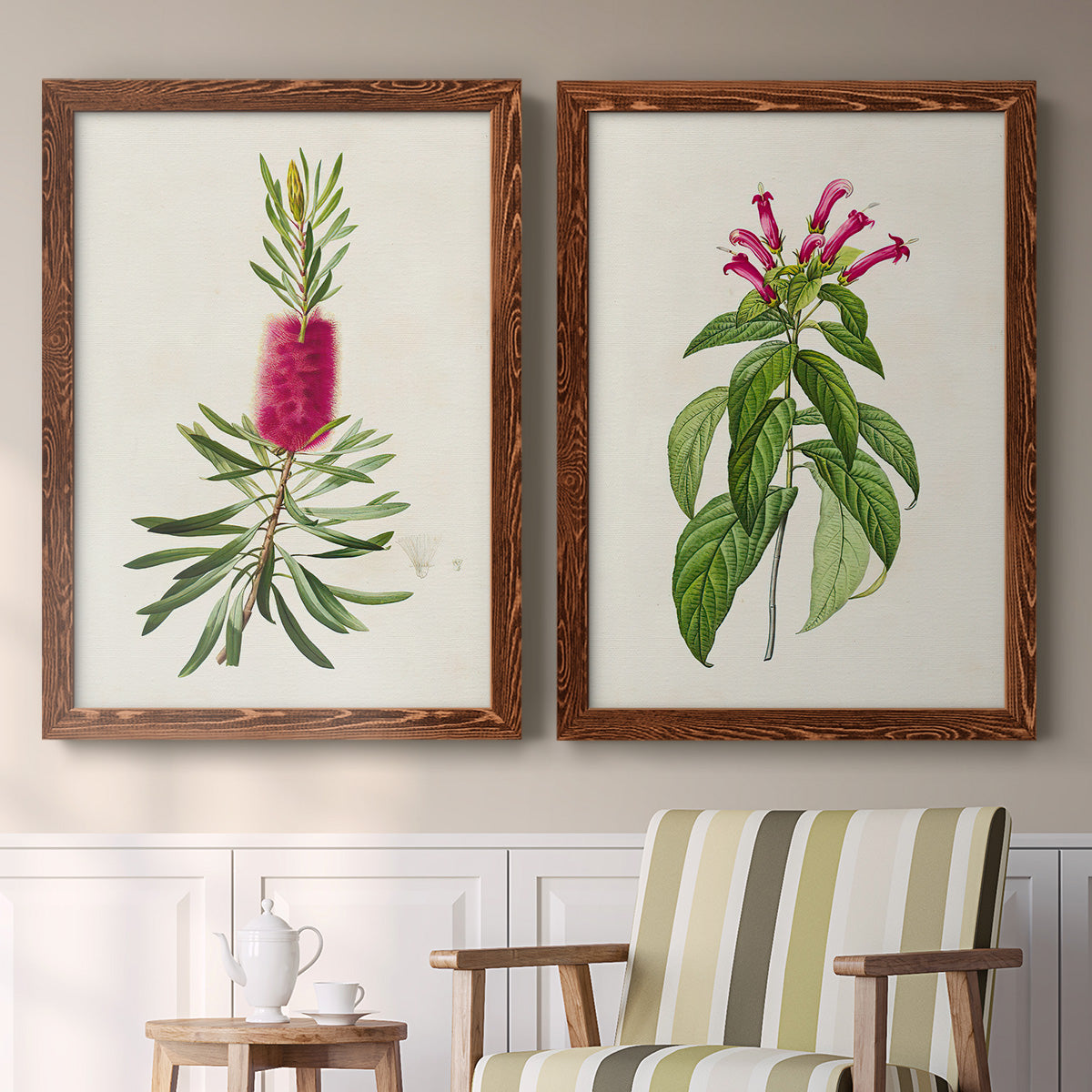 Set of two maple barnwood framed canvas prints depicting two vintage botanical plate illustrations featuring pink flowering plant specimens above a sideboard in a cozy sitting room.