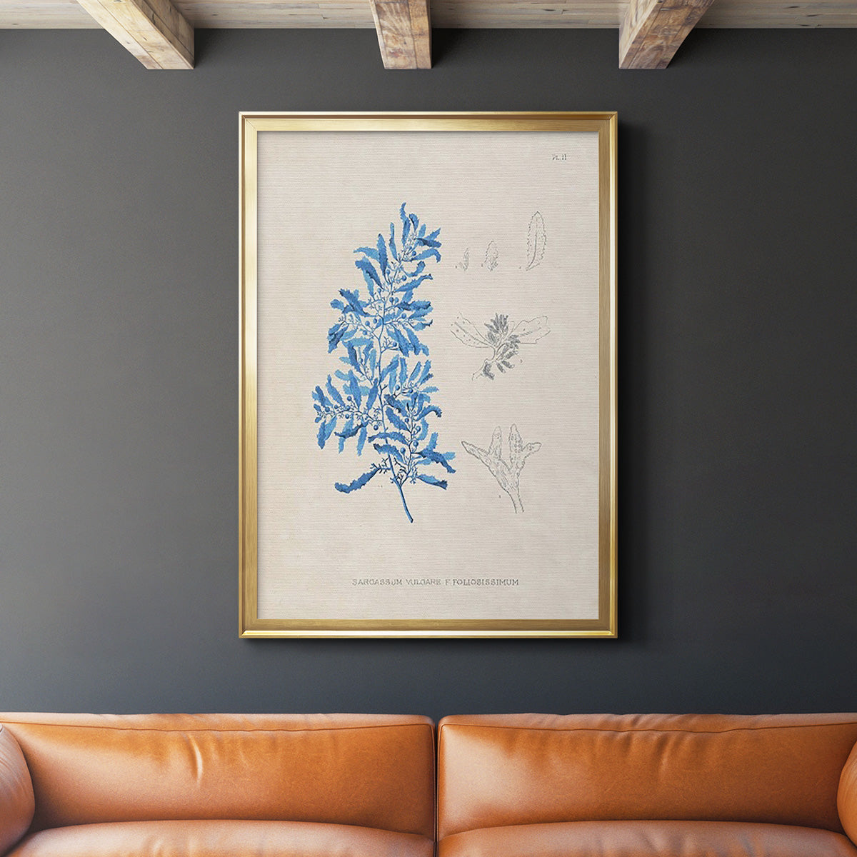 Blue Marine Algae VI - Modern Framed Canvas Print