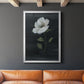 Country Botanical II - Modern Framed Canvas Print