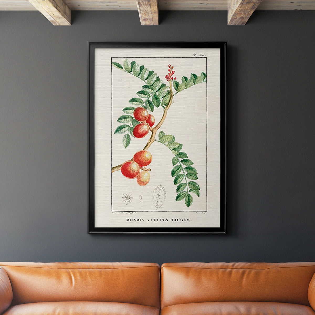 Turpin Tropical Botanicals III - Modern Framed Canvas Print