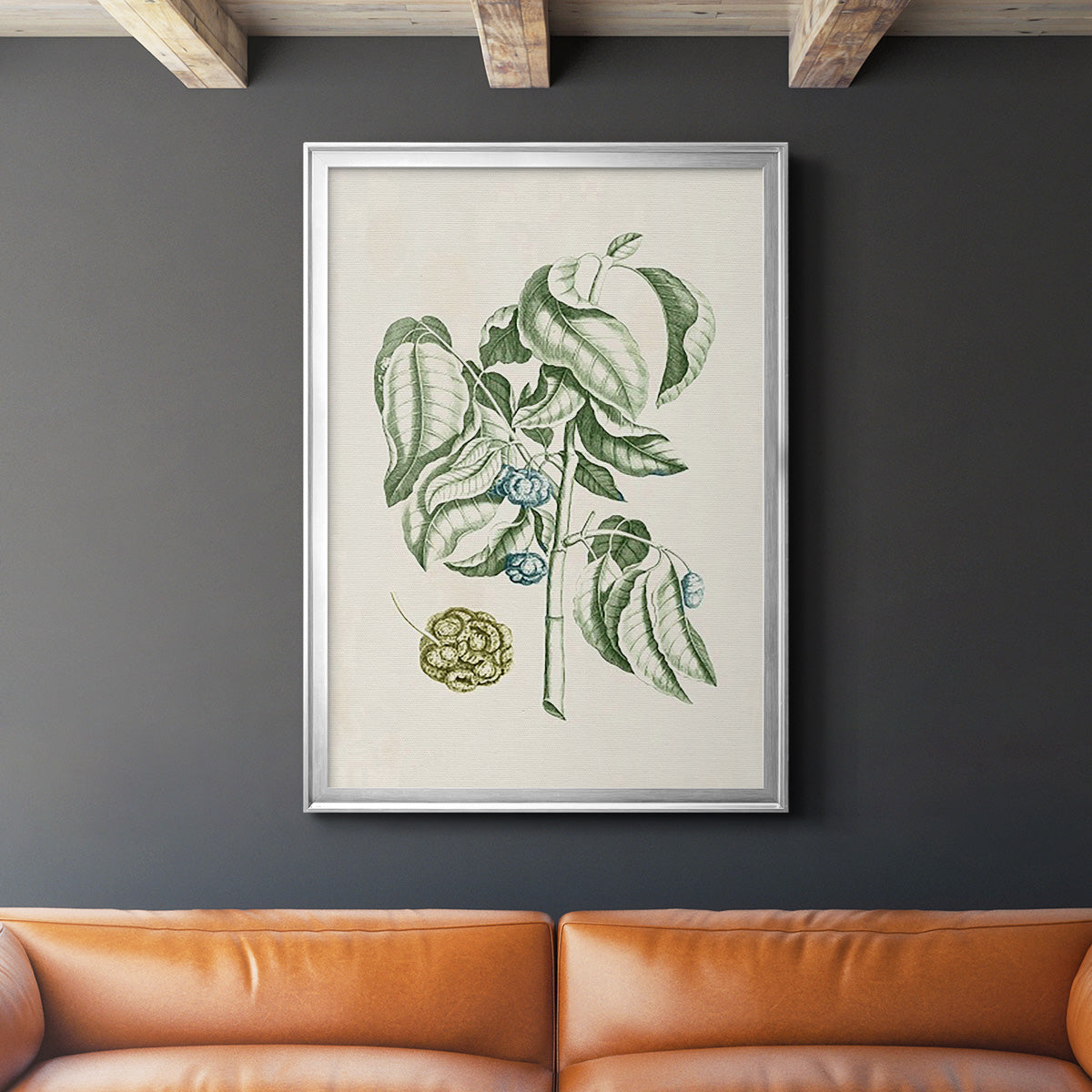 Buchoz Tropicals V - Modern Framed Canvas Print