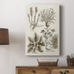 Sepia Botanical Journal VII - Canvas Art Print