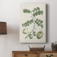 Buchoz Tropicals II - Canvas Art Print