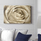 Neutral Wall Flower IV - Canvas Art Print