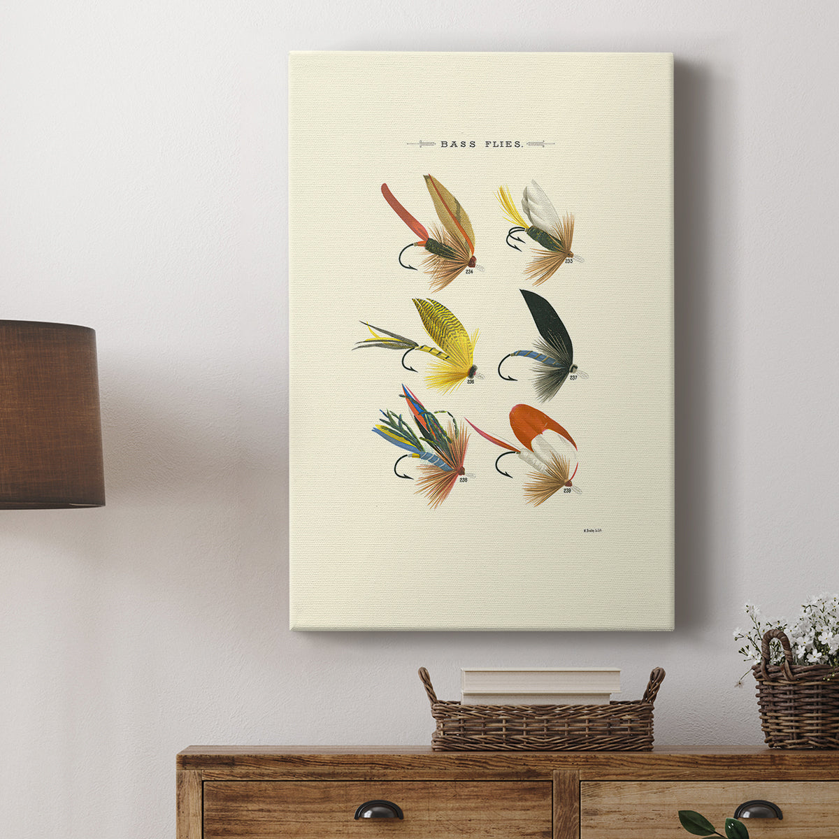 Bass Flies I - Canvas Art Print