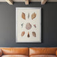 Knorr Shells & Coral VI - Modern Framed Canvas Print