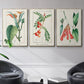 Turpin Tropical Botanicals I - Floater Framed Canvas Set