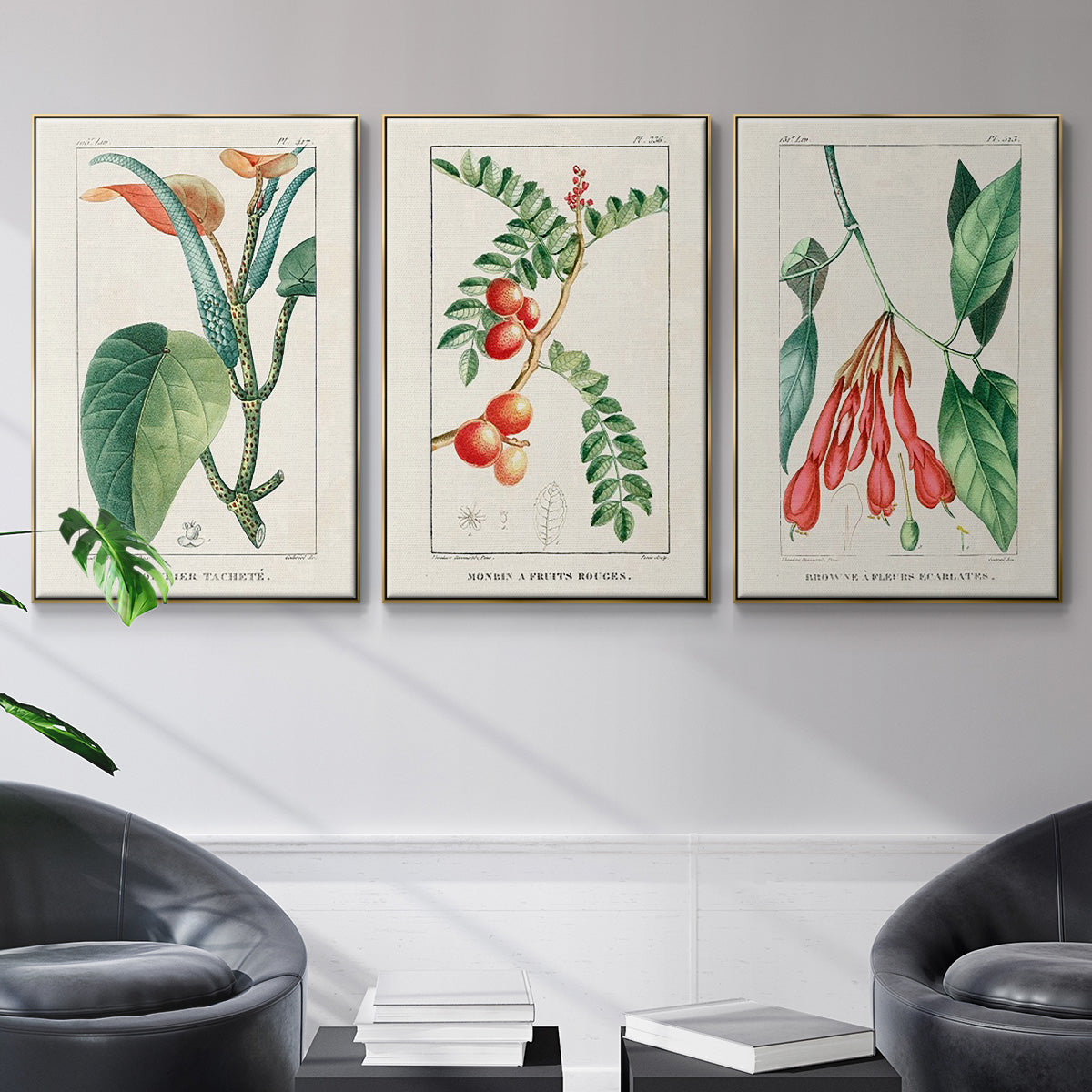 Turpin Tropical Botanicals I - Floater Framed Canvas Set